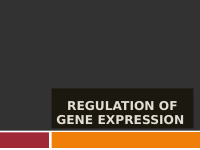 Regulation of gene expression.pdf